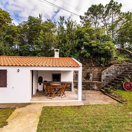 Casa Do Pinheiro With Shared Swimming Pool Сан-Висенти-Феррейра